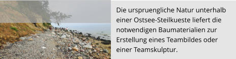 Die urspruengliche Natur unterhalb  einer Ostsee-Steilkueste liefert die  notwendigen Baumaterialien zur  Erstellung eines Teambildes oder  einer Teamskulptur.