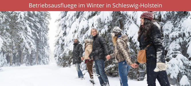 Betriebsausfluege im Winter in Schleswig-Holstein >>
